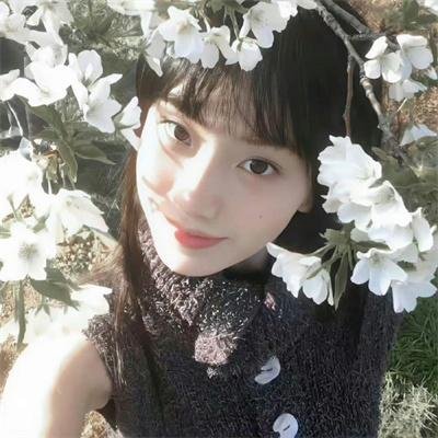 大师的头脑